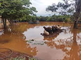 Campo Novo: Lajeado Caraguataí transborda, alagando ruas e imóveis