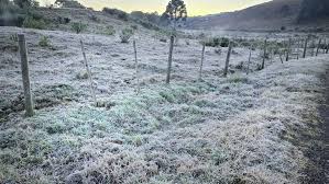 Rio Grande do Sul e Santa Catarina têm previsão de neve para o fim de semana