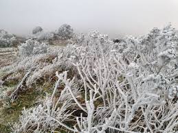 Vídeo – Sul tem primeira neve do ano; frio avança pelo Brasil com geada; veja previsão