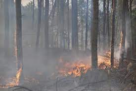 Dezenas de pessoas são retiradas por incêndios florestais no centro da Argentina