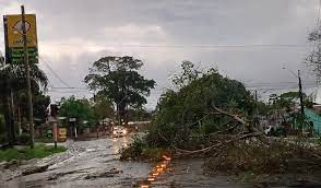 Chuva e vendavais causam estragos em nove cidades do Rio Grande do Sul