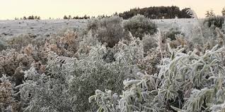 O frio intenso chegará mais cedo ao Rio Grande do Sul neste ano? Veja a previsão