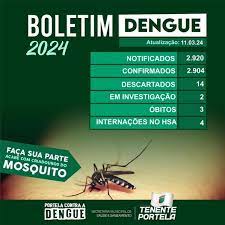 Tenente Portela se aproxima de 3 mil casos confirmados de dengue, diz boletim